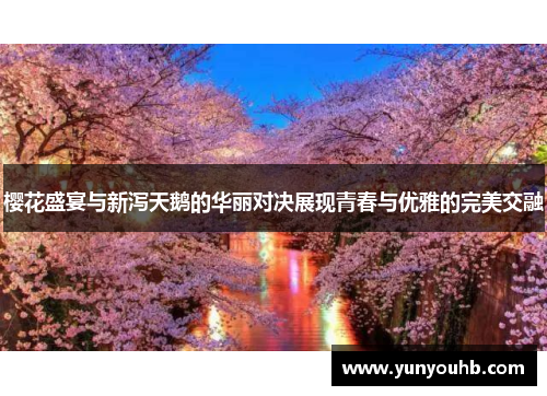 樱花盛宴与新泻天鹅的华丽对决展现青春与优雅的完美交融